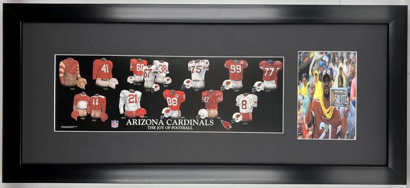 arizona cardinals-2
