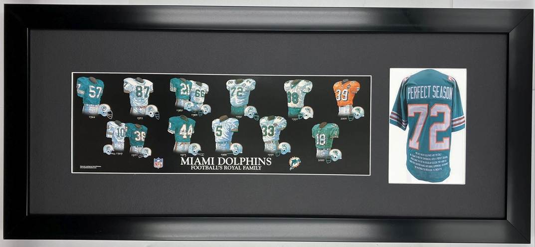 miami dolphins-2