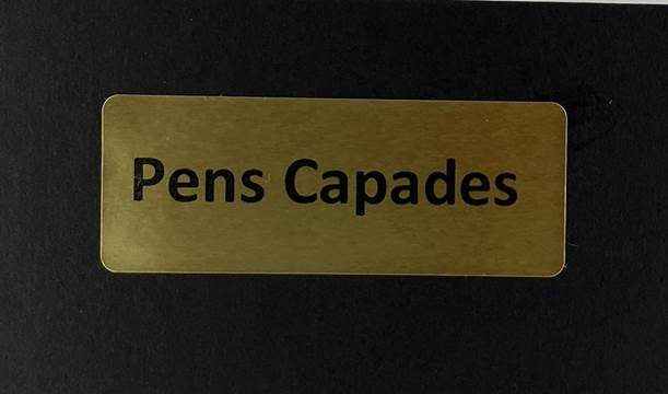 IMG_0713-Pens Capades